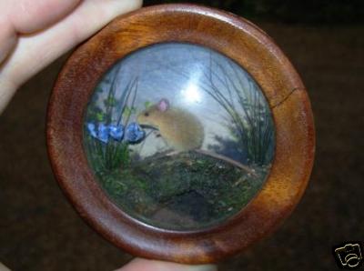 Wood Mouse